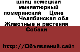 шпиц немецкий миниатюрный/померанский/ › Цена ­ 25 000 - Челябинская обл. Животные и растения » Собаки   